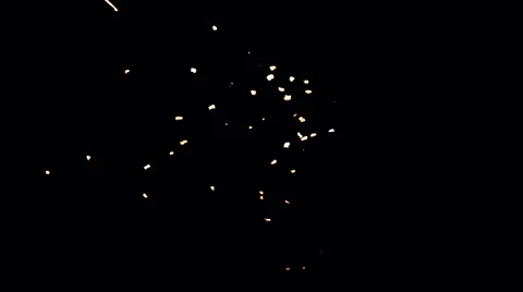 Moths and termites glow in front of park light at night 1 of 2. Stock Footage 63540571