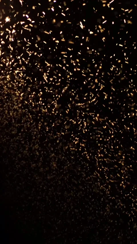 Moths curl in the light of the lamps Stock Footage 309139503
