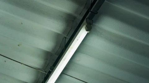 Moths flying around the light bulb after the rain Video stock 212415549