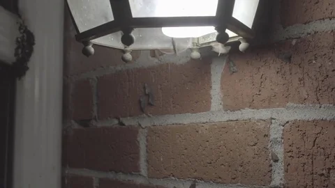 Moths Flying Around Light Stock Footage 82709628