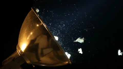 Moths Video stock 12522284