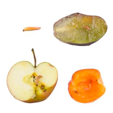Moths on fruit Stock Photos