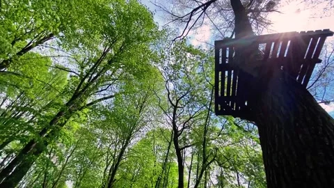 Motion along climbing equipment Stock Footage 154066091