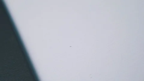 Motion along diskette in plastic case on white background Video stock 120467869