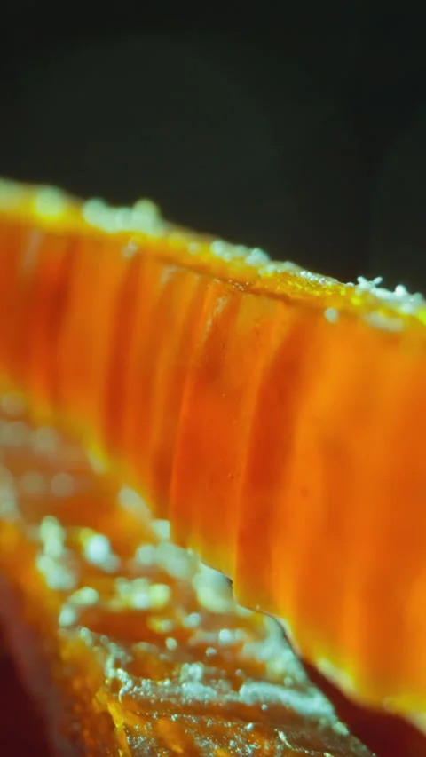 Motion along stack of salted chum salmon fish strips 스톡 동영상 309892600