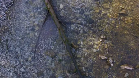 Motion along tree trunk in river water with rocky bottom Stock Footage 102679376
