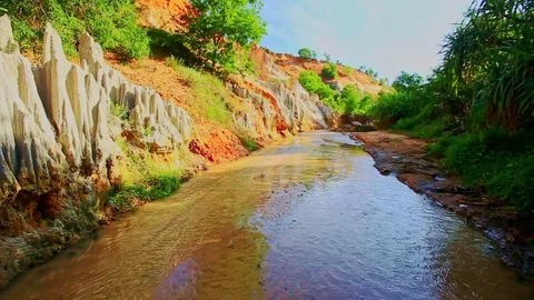 Motion along Tropical Fairy Stream Beautiful Landscape Stock Footage