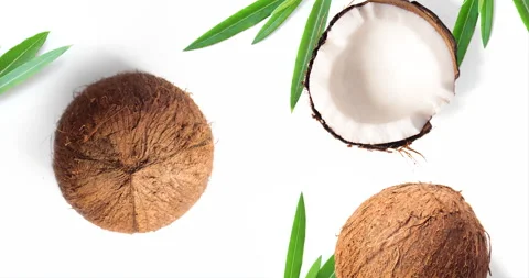 Motion animation with coconut. Coconut animation on the white background. Stock Footage 139077049