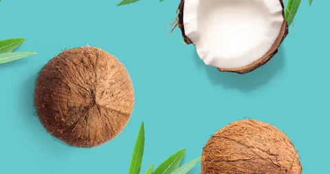 Motion animation with coconut. Coconut animation on the turquoise background. Stock Footage 139077062