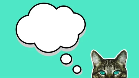 Motion art. animation pattern. cat face background. Vidéo 130479784