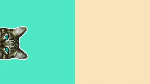 Motion art. animation pattern. cat face background. Vidéo 130479819