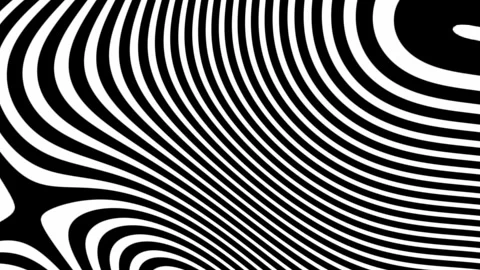 Motion background with animated black and white zebra lines Stock Footage 295065784