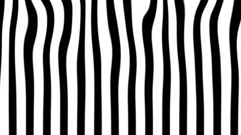 Motion background with animated zebra lines Stock Footage 305704531