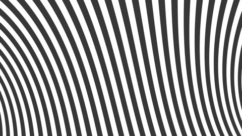 Motion background with animated zebra lines Stock Footage 305705485