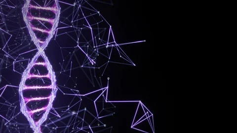 Motion Background binary Digital Plexus DNA strand 4k Loop pink purple violet Stock Footage 111697262