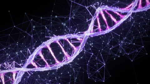 Motion Background binary Digital Plexus DNA strand 4k Loop pink purple violet Stock Footage