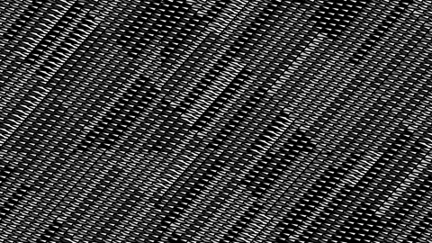Motion background with black and white wavy lines Stock Footage 152958990