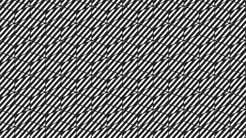 Motion background with black lines-409 Stock Footage 152805194