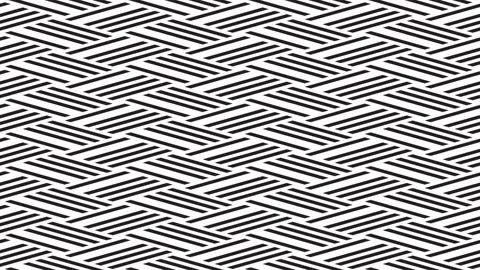 Motion background with black lines-418 Stock Footage 152805241