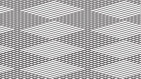 Motion background with black lines-421 Stock Footage 152805257