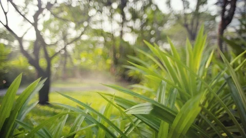 Motion Background Bokeh Sprinkler Spraying Water In The Green Garden. Stock Footage 105487306