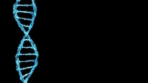Motion Background Digital Binary Plexus DNA molecule Alpha Matte 4k Loop Stock Footage 75815441