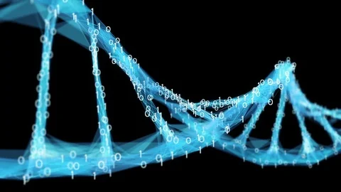 Motion Background Digital Binary Polygon Plexus DNA molecule 4k Loop Alpha Matte Stock Footage 75811323