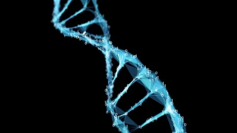 Motion Background Digital Binary Polygon Plexus DNA molecule 4k Loop Alpha Matte Stock Footage 75811936