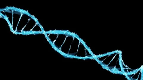 Motion Background Digital Binary Polygon Plexus DNA molecule 4k Loop Alpha Matte Stock Footage 75814050