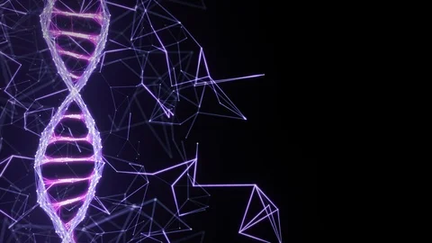 Motion Background Digital Plexus DNA molecule strand 4k Loop pink purple violet Stock Footage 108887217