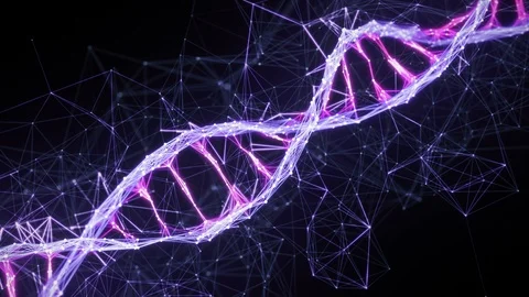Motion Background Digital Plexus DNA molecule strand 4k Loop pink purple violet Stock Footage 108888449