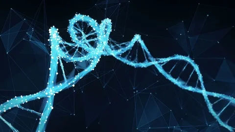 Motion Background Digital Polygon Plexus DNA molecule 4k Loop Stock Footage 75813807