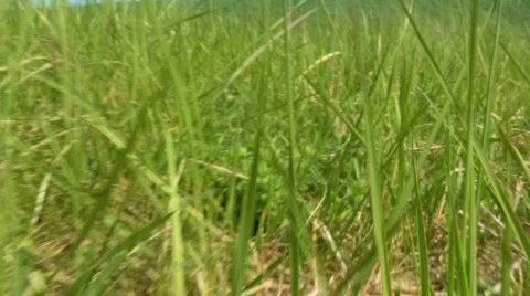 Motion Background Stock Footage 456600