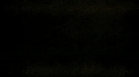 Motion Background Stock Footage 797232