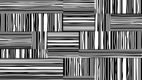 Motion background with horizontal and vertical black lines Stock Footage 152959023