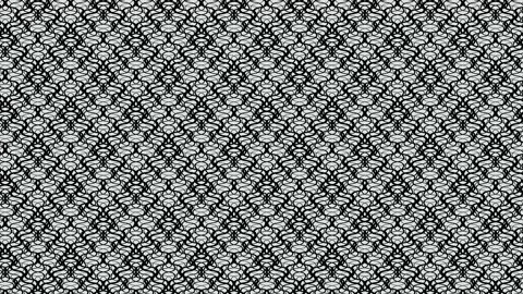 Motion background with intersecting black wavy lines Stock Footage 152718403