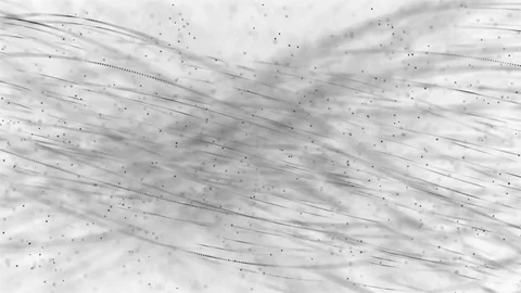 Motion background loop 4K - White back with black particles and lines floating Stock Footage