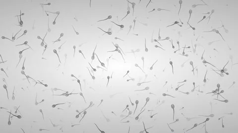 Motion background with moving spermatozoon Vidéo 936354