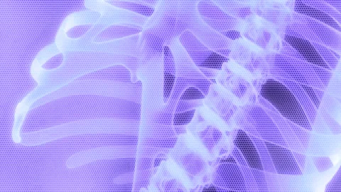 Motion background showing anatomy of a human body skeleton structure Video stock 266952855