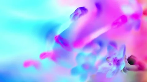 Motion background shows a abstract blurred art background featuring flowers in Stock Footage 160663443