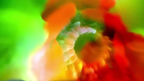 Motion background shows a abstract red flower close up Stock Footage 160662036