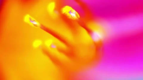 Motion background shows anthers of a flower in pink and orange colors Stock Footage 160608094