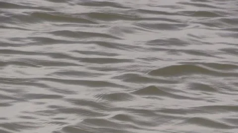 Motion Background - Water Flowing Full Frame Stock Footage 51445374