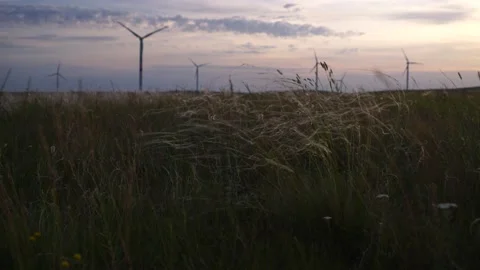 Motion the blades of a large wind turbine in a field against a background of Stock Footage 155438048