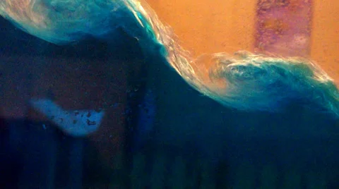 Motion of blue oil bubbles in water. Stock Footage 34666234