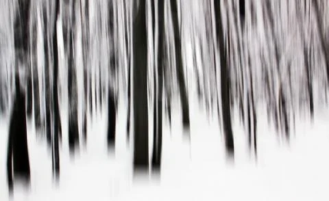 Motion blur abstract effect in forest with trees Stock Photos