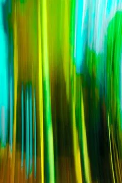 Motion blur forest effect Foto stock