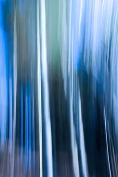 Motion blur forest effect Stock Photos