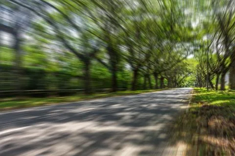 Motion blur long tree pathway. Light and shadow. Sunny day. Cement path. Long Stock Photos