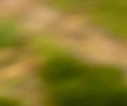 Motion blur Stock Photos